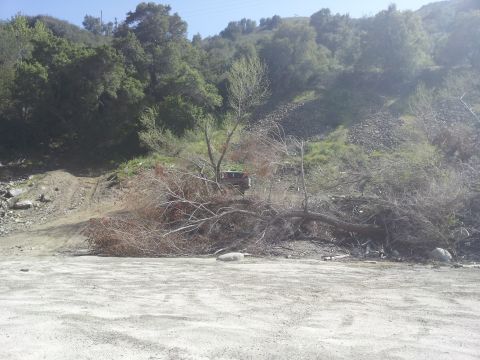 1978 Ford Bronco - A vehicle sits abandoned amidst debris on a hillside, partially hidden by fallen trees and brush.