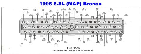 1990 Ford Bronco - Powertrain control module C185 gray connector pin-out diagram for a 1995 5.8L Bronco showing each pin position with its wire color code.