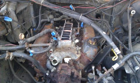 1986 Ford Bronco - Engine bay with a disassembled intake manifold and various hoses, showing signs of wear and repair.