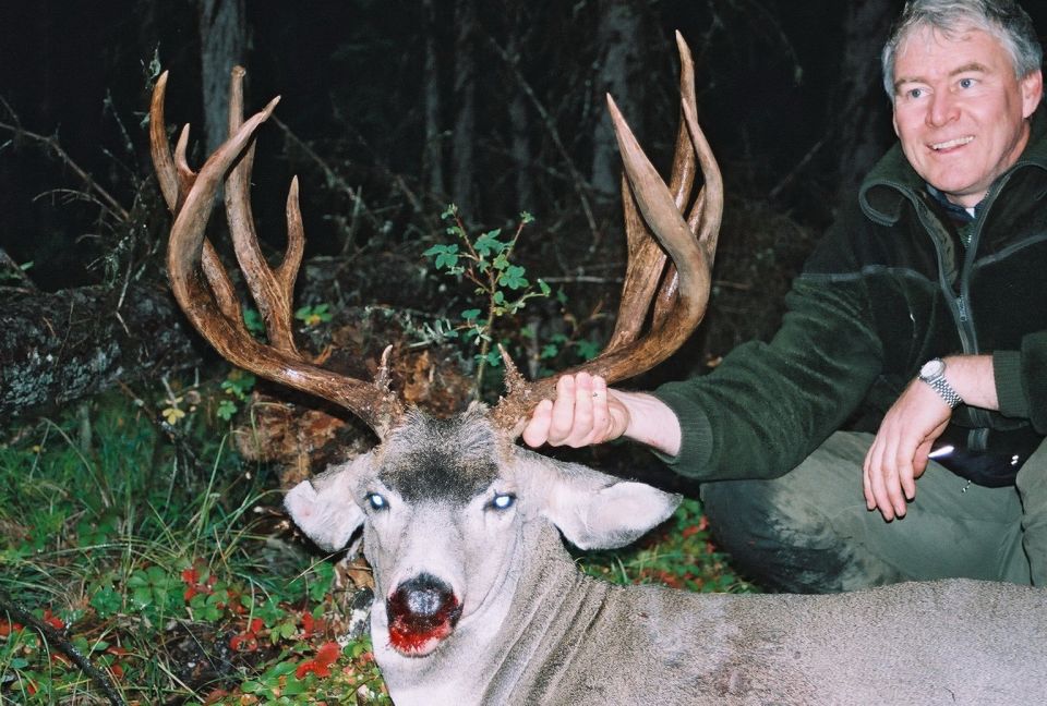 Hunter kneeling beside a harvested mule deer buck with large antlers in a dark forest