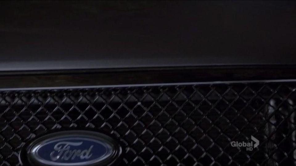 Ford oval emblem on a black diamond-pattern grille