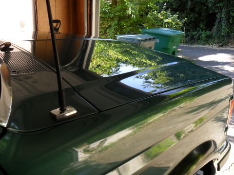1990 Ford Bronco - The reflection of trees on the hood of a green 1990 Ford Bronco.