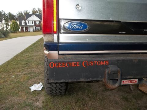 1995 Ford Bronco - Rear view of a 1995 Ford Bronco with a custom bumper and Ford emblem visible.