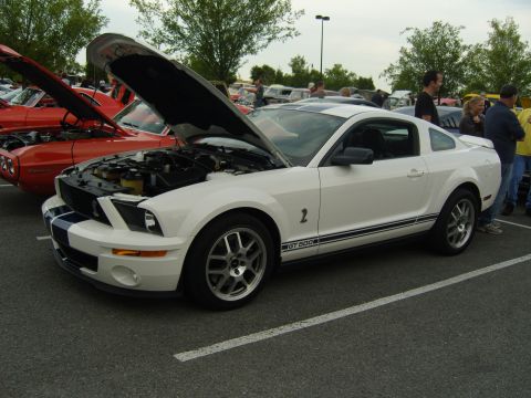 2007 Ford Mustang - A white 2007 Ford Mustang GT 500 is displayed with its hood open at a car show, alongside other vehicles.