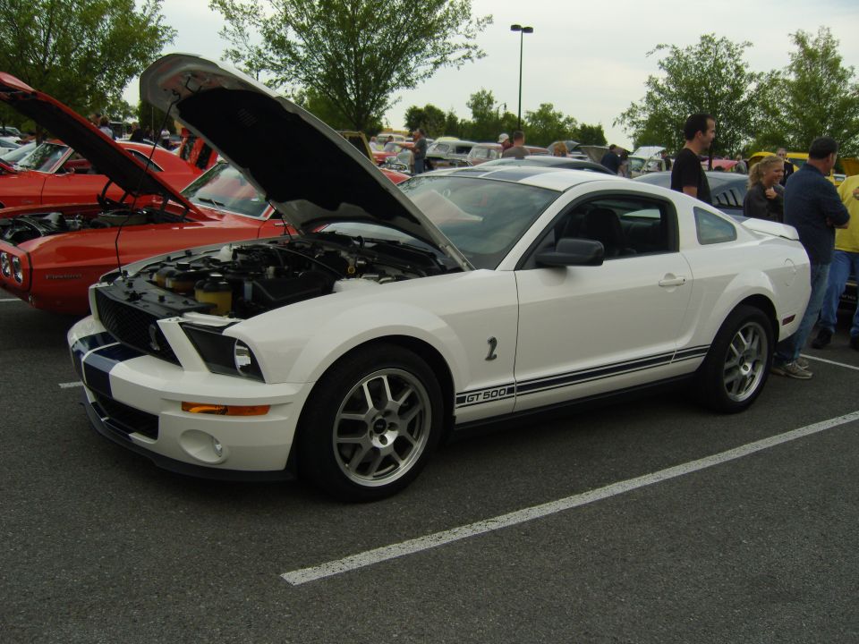 White 2007 Ford Mustang GT 500 with blue racing stripes, hood open, parked at a car show