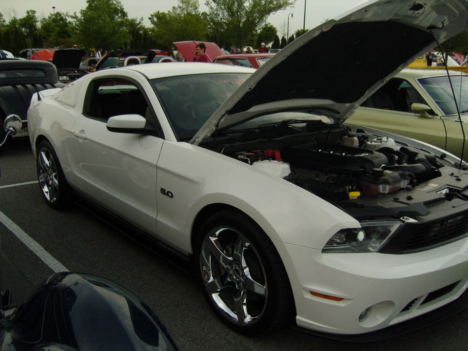 White Mustang with a 5.0 badge, hood open showing engine. Parked at a car show