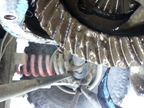 1978 Ford Bronco - Close-up view of a greasy differential gear assembly, showing a red coil spring and part of a tire.