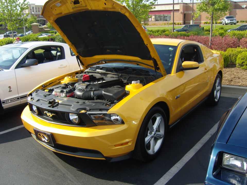 Yellow Ford Mustang with hood open, parked next to a white Mustang GT 500