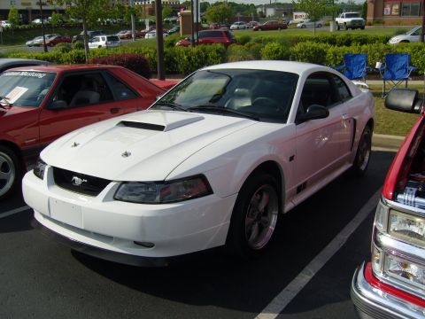 2007 Ford Mustang - A white Ford Mustang is parked in a lot with other vehicles around it.
