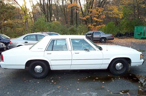1991 Ford LTD Crown Victoria - A white 1991 Ford Crown Victoria LTD sedan is parked outdoors with other vehicles and trees in the background.