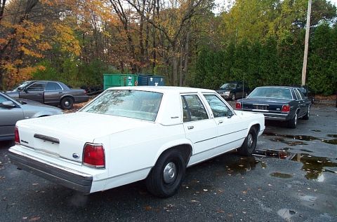 1991 Ford LTD Crown Victoria - Two Ford Crown Victorias are parked in an outdoor lot with autumn foliage visible.
