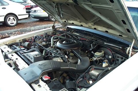 1991 Ford LTD Crown Victoria - Engine bay of a white vehicle, with other cars parked nearby. The hood is propped open, revealing the engine components.