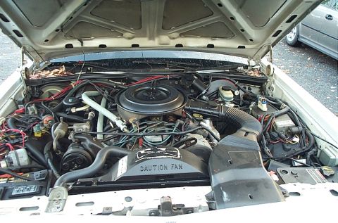 1991 Ford LTD Crown Victoria - Engine bay of a 1991 Ford Crown Victoria LTD, showing the V8 engine and associated components.