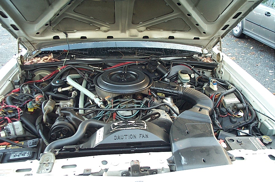 1991 Ford Crown Victoria LTD engine bay with hood open, showing V8 engine components and wiring