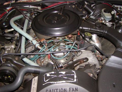 1991 Ford LTD Crown Victoria - Close-up view of a vehicle's engine bay, showing various components like the air cleaner, distributor, and hoses.