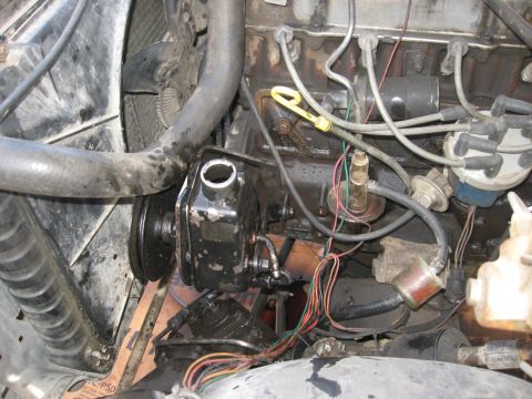 1981 Ford Bronco - Close-up view of engine components including the power steering pump and associated plumbing.