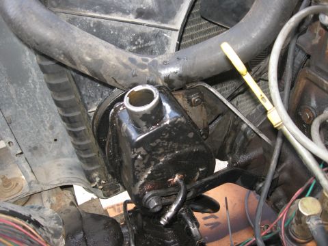 1981 Ford Bronco - A close-up view of engine components including the power steering pump, radiator hoses, and oil dipstick.