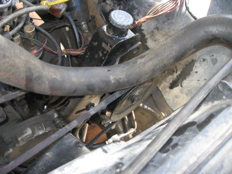 1981 Ford Bronco - Close-up view of the engine bay, focusing on the power steering fluid reservoir and associated hoses.