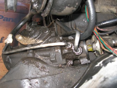 1981 Ford Bronco - Close-up view of oily engine parts, hoses, and wiring harness.