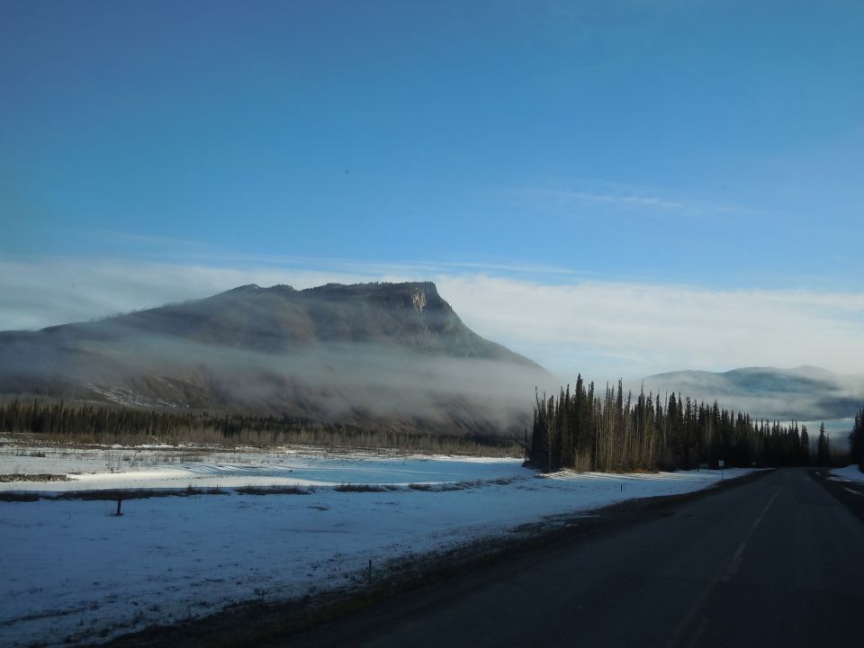 road next to snowy field and pine trees with a misty mountain in background