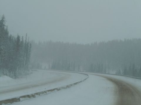 2009 Kenworth T800 - A road winds through a snowy landscape with trees lining the sides.