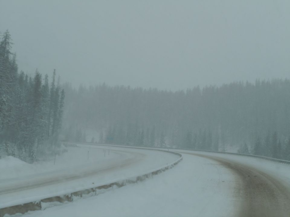 snowy road with trees on the side