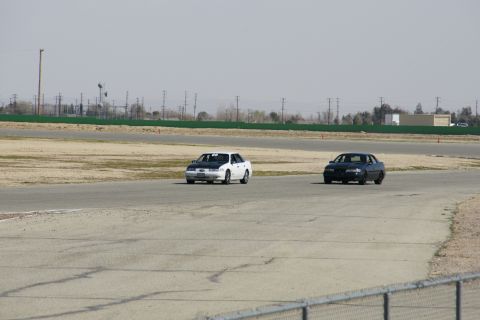 1995 Ford Taurus - Two sedans are on a racetrack, one white with a black hood and the other dark colored.