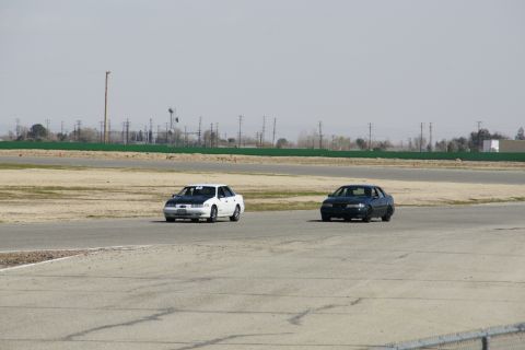 1995 Ford Taurus - Two sedans compete on a race track, one white with a black hood and the other black.