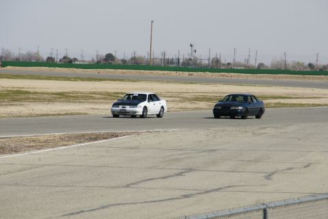1995 Ford Taurus - Two sedans, one white with a black hood and one dark, race on a track under a hazy sky.