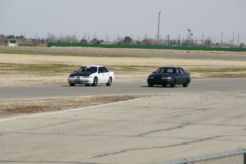 1995 Ford Taurus - Two sedans are seen on a racetrack, one white with a black hood and the other dark blue.