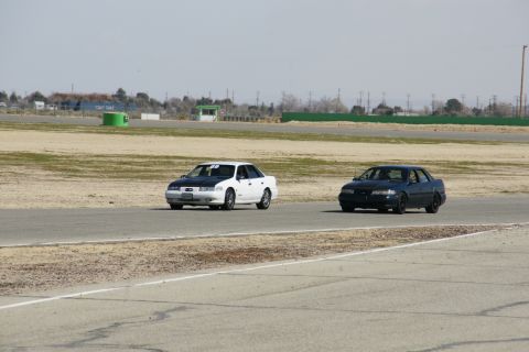 1995 Ford Taurus - Two sedans, one white with a black hood and the other dark, race on a track under a clear sky.