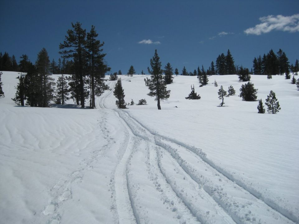 Snowy landscape with tire tracks and pine trees under a blue sky. Supermotors.net logo visible