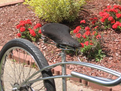 1994 Ford Bronco - Close-up of a bicycle's rear wheel and saddle with red flowers in the background.