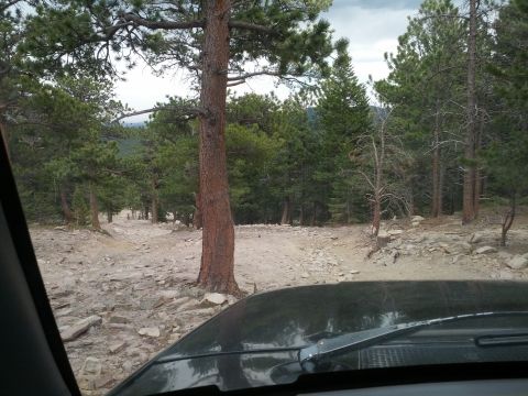 1994 Ford Bronco photo