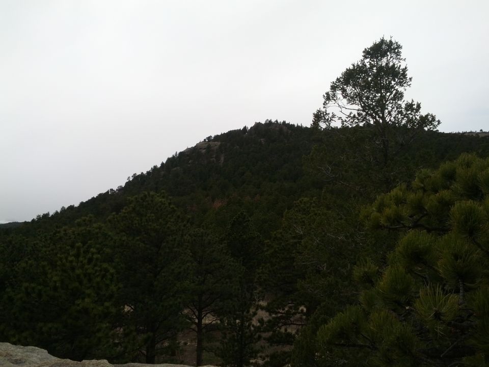 mountain covered in pine trees under a cloudy sky