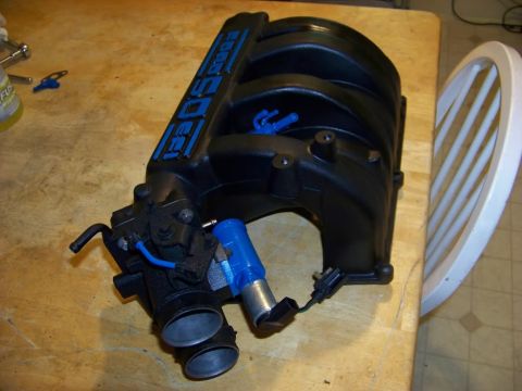 1989 Ford Bronco - Ford 5.0 HO intake manifold with blue lettering and blue sensor visible.