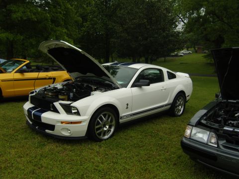 2007 Ford Mustang - Three cars are parked on a grassy lawn with trees in the background. The white Mustang's hood is open, revealing the engine.