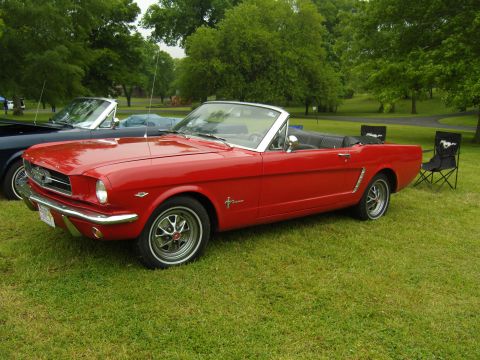 2007 Ford Mustang - Two classic Ford Mustang convertibles are parked on a grassy lawn with trees in the background.