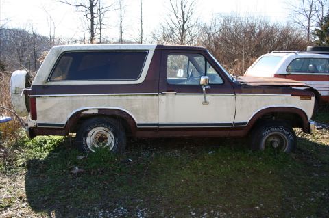 1983 Ford Bronco photo