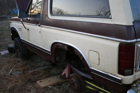 1983 Ford Bronco photo