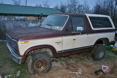 1983 Ford Bronco photo