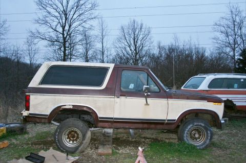 1983 Ford Bronco photo