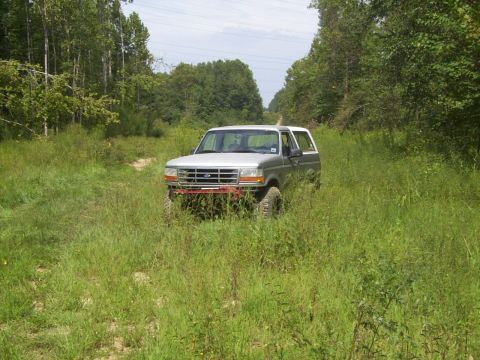 1995 Ford Bronco - This Ford Bronco is parked in a grassy area surrounded by trees.