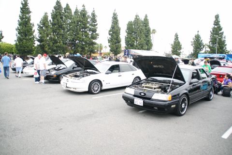 1993 Ford Taurus - Several cars are on display with their hoods open at an outdoor car show.