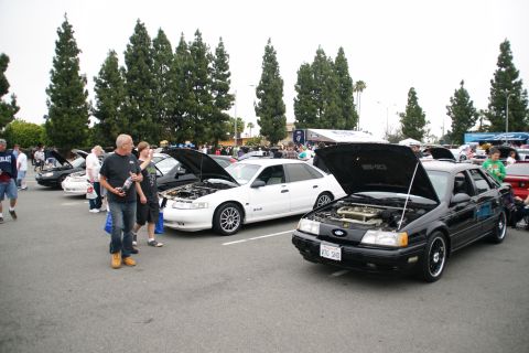 1993 Ford Taurus - A black 1993 Ford Taurus SHO is displayed with its hood open at a car show.