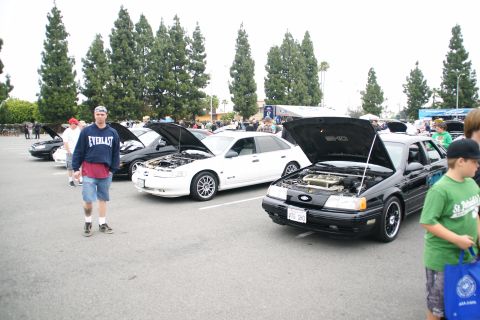 1993 Ford Taurus - Several cars are parked with hoods open at an outdoor event, including a black 1993 Ford Taurus.
