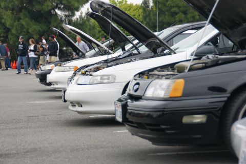 1993 Ford Taurus - Several cars are lined up with their hoods open, parked on asphalt.