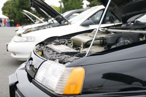 1993 Ford Taurus - A line of cars with hoods open, including a black 1993 Ford Taurus in the foreground.
