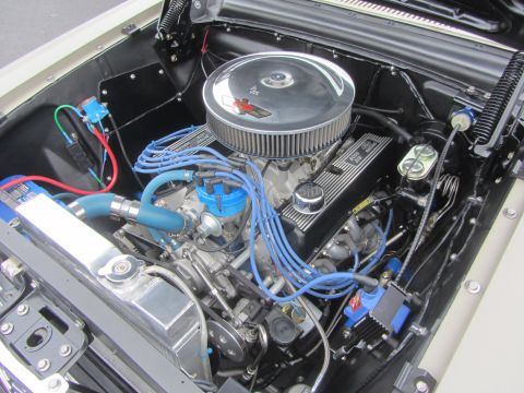 1964 Ford Ranchero - Detailed view of the engine compartment of a 1964 Ford Ranchero, highlighting its V8 engine and associated components.