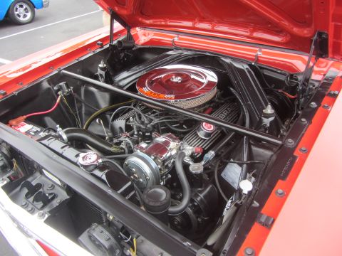 1964 Ford Ranchero - Engine bay of a 1964 Ford Ranchero, a V8 engine with Cobra valve covers.